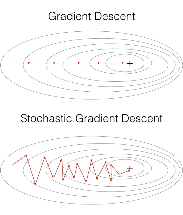 Mô phỏng quá trình SGD so với Gradient Descent