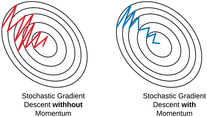 Mô phỏng vector Momentum